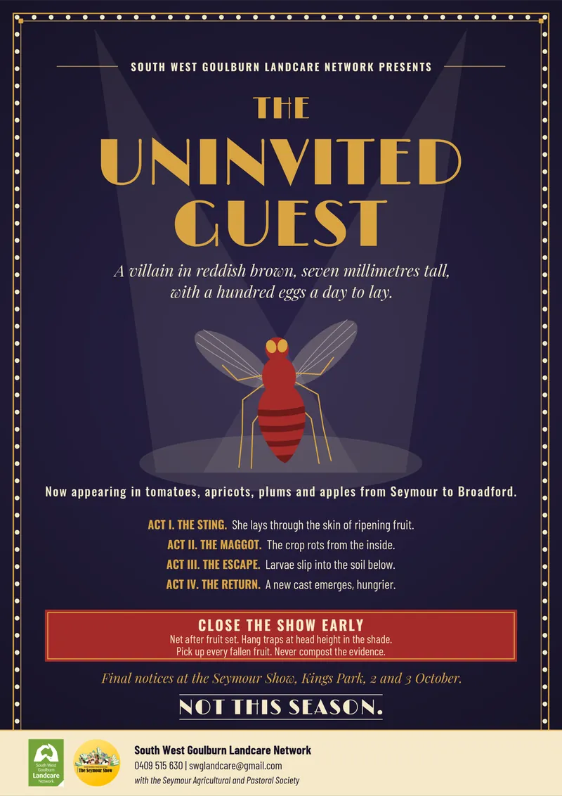 Poster, The Uninvited Guest, from the South West Goulburn Landcare Network: a villain in reddish brown, seven millimetres tall, with a hundred eggs a day to lay. Close the show early: net after fruit set, hang traps at head height in the shade, pick up every fallen fruit. Final notices at the Seymour Show, Kings Park, 2 and 3 October. Not this season. Contact 0409 515 630, swglandcare@gmail.com.